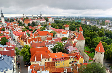 Naklejka premium Breathtaking aerial view of the medieval towers and the old town of Tallinn, Estonia, from the top of the St. Olav's Church bell tower