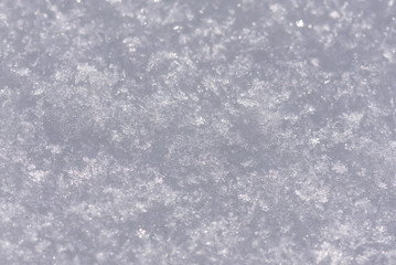 snow texture background white winter