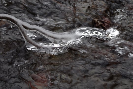 Leuchtende Eisstruktur an Ast über Bach