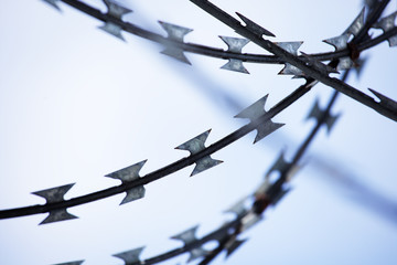close up of barbed wire fence background.