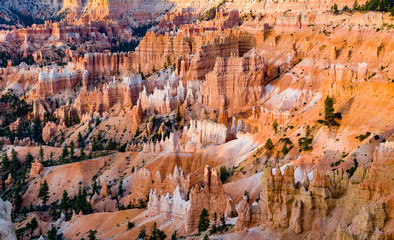 beautiful landscape in Bryce Canyon with magnificent Stone formation