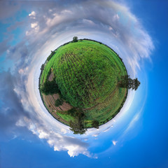 little planet spherical panorama 360 degree view of sugar cane field.