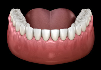 Mandibular human gum and teeth. Medically accurate tooth 3D illustration