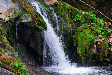 Fototapeta na wymiar Beautiful mountain waterfall among the rocks and coniferous forest. Ukraine, the Carpathian Mountains.