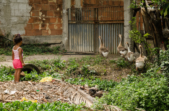 รูปภาพRelva เลือกดูภาพถ่ายสต็อก เวกเตอร์ และวิดีโอ65,907 Adobe Stock