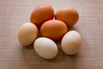 Bunch of Farm Fresh Chicken Eggs