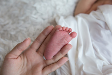 the leg of the newborn in the mother's hand. the leg of a newborn baby. little foot. the leg between the fingers of the hand