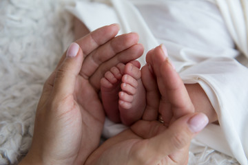 The legs of a newborn baby in the mother's arms. the legs of a newborn baby in his hands . baby's feet. baby feet on khaki background