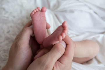 Obraz na płótnie Canvas newborn baby feet in the hands . feet of a newborn baby. little foot