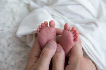 newborn baby feet in the hands . feet of a newborn baby. little foot