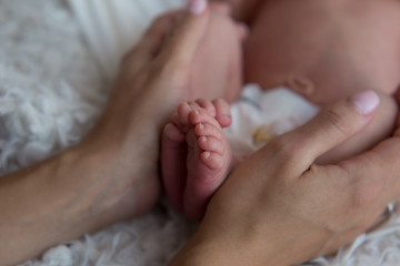 The legs of a newborn baby in the mother's arms. the legs of a newborn baby in his hands . baby's feet. baby feet on khaki background