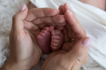 The legs of a newborn baby in the mother's arms. the legs of a newborn baby in his hands . baby's feet. baby feet on khaki background