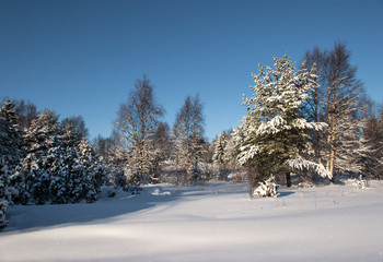Fototapeta premium Winter sunny day on Lake Vodlozero in the Vodlozersky National Park in Karelia (Russia)