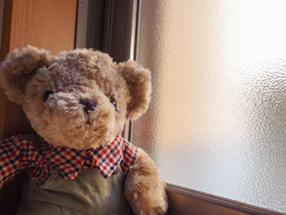 cute teddy bear sitting near glass window.
