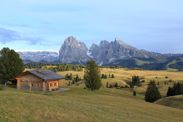 Fototapeta premium Alpe di Suisi - Dolomites - Italie