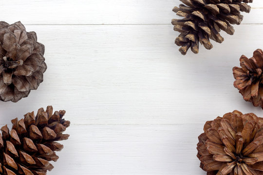Brown pine cone on white wood panel background