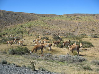 Fototapeta na wymiar Parque Nacional Torres del Paine