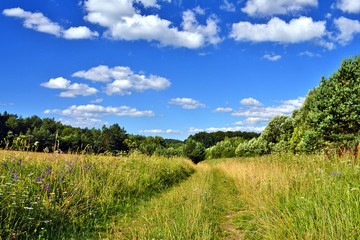 Ground road in a grassy meadow under blue sky with white clouds. Summer landscape in Low Beskids (Beskid Niski), Poland
