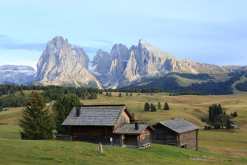 Fototapeta na wymiar Alpe di Suisi - Dolomites - Italie