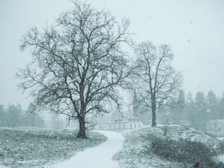 Fototapeta na wymiar Beautiful winter landscape with snowfall.