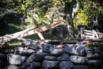 Moss-covered stone. Beautiful moss and lichen covered stone. Bright green moss Background textured in nature. Natural moss on stones in winter forest.
