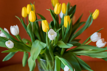 Bouquet of yellow and white tulips. Easter bouquet. Spring flowers.