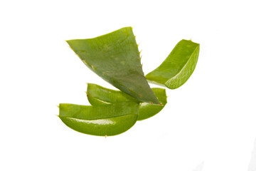 aloe isolated on white background