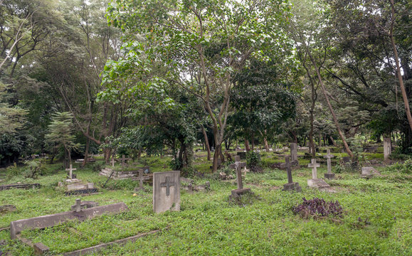 Cemetery in the forests of Tanzania