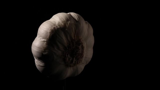 rotating garlic still life on black with soft light