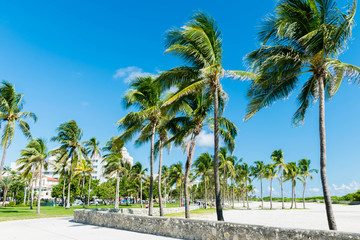 Miami Beach Alley