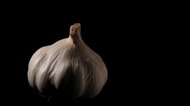 rotating garlic still life on black with soft light