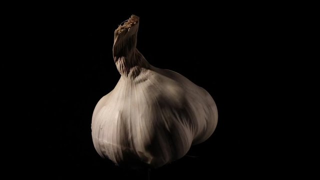 rotating garlic still life on black with soft light 