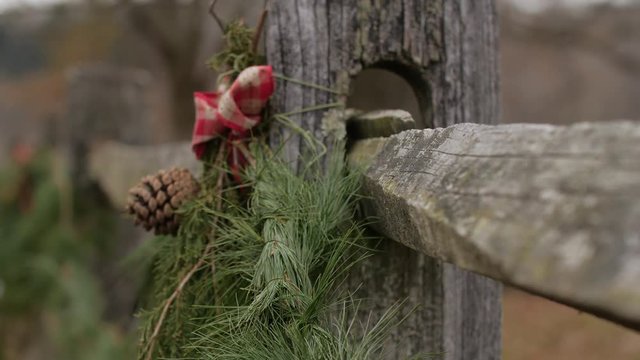 Close up split rail fence pan to christmas holly acorn