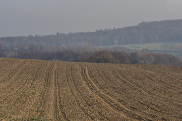 Na wyżynie.