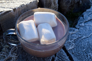A glass cup of cocoa and marshmallow stands on a stump with hoarfrost. New Year's dessert. New Year's hot drink.
