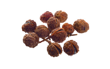 Sichuan pepper, Sichuan peppercorn, Szechuan pepper or Szechuan peppercorn isolated on white...