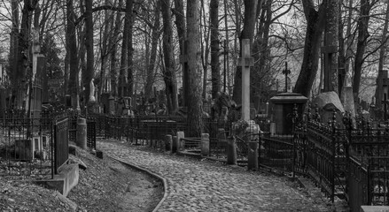 Bernardine Cemetery IX