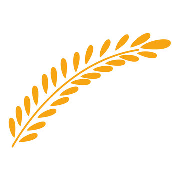 wheat icon image