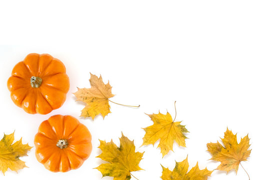 Pumpkins and maple leaves isolated on white background, view from the top. Creative autumn composition with copy space for text, Thanksgiving concept.