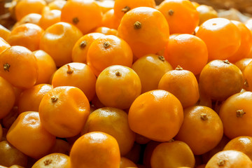Fruit orange preserved or Citrus Japonica Thunb. Citrus processed fruits.