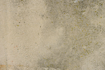 texture of old concrete surface with mold and moss