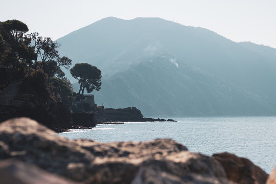 Mare
