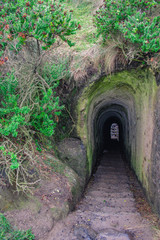 the tunnel of Tunnel Beach walkway, near Dunedin, Otago, South Island, New Zealand