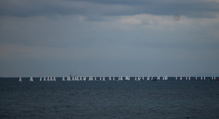 Fototapeta na wymiar eine Reihe weißer Segelboote am Horizont auf dem Ägäischen Meer