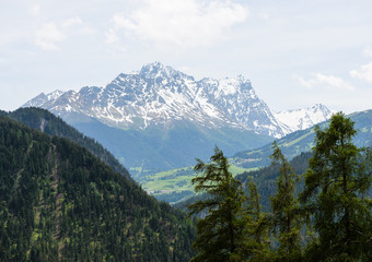 Mountain meadow view with cows in canton of Graubunden, Switzerland