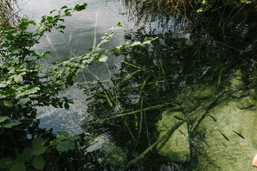  Travel to Croatia. Plitvice Lakes is a popular Croatian national park of incredible beauty. Photos of stunning views of transparent lakes and green nature