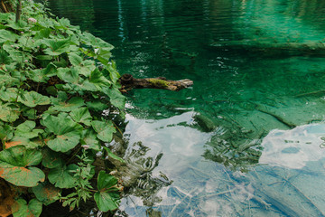  Travel to Croatia. Plitvice Lakes is a popular Croatian national park of incredible beauty. Photos of stunning views of transparent lakes and green nature