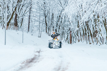 two persons ride quad bike in snowed forest © phpetrunina14
