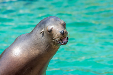 Obraz premium Peaugres