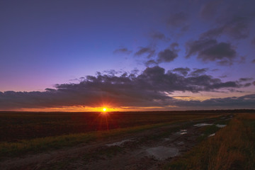 Fototapeta na wymiar Spring sunset in rural field dusk
